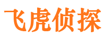 察布查尔市调查公司